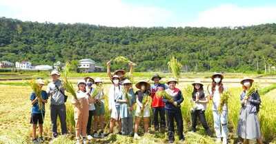 朝陽工設「貓裏青農永續設計共榮」獲TSAA銀獎 創新設計助苗栗青農再造未來圖片